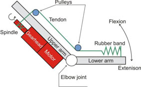 Movement principle of the Eccerobot's arm